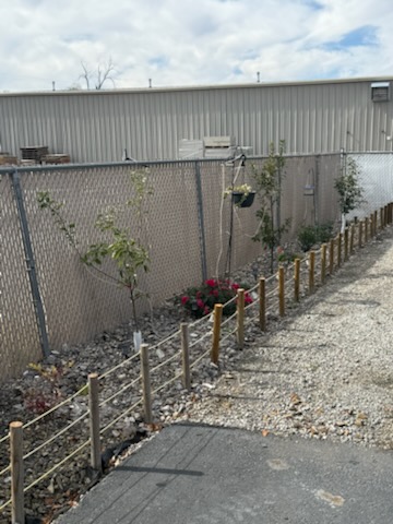 Young trees, flowers and a rope fence along the grounds at High Desert RV Park